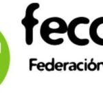 M Fecon